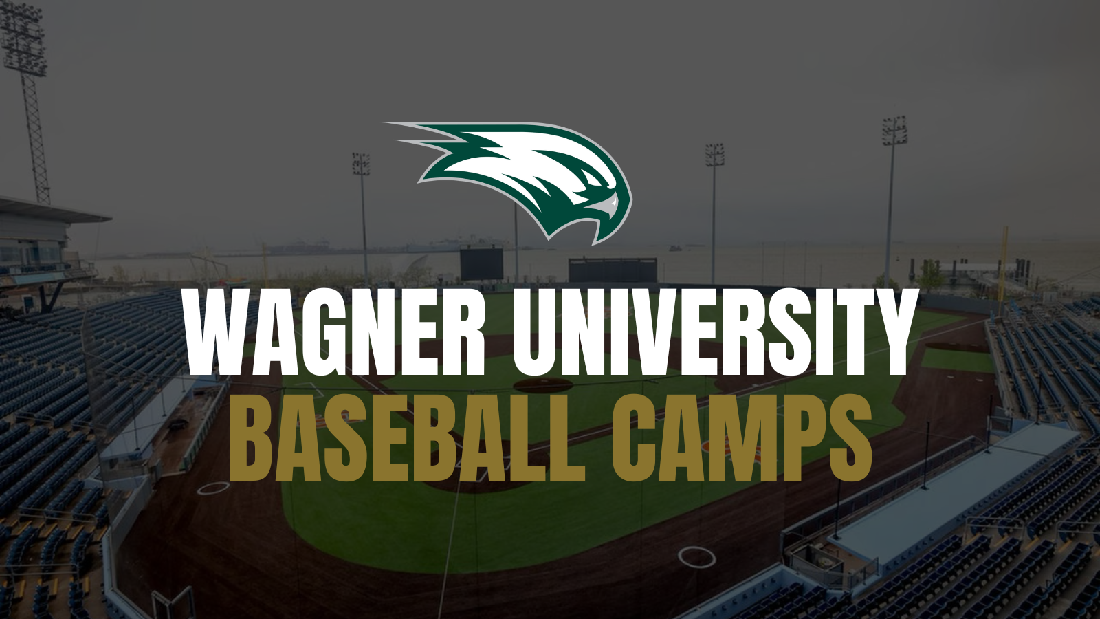 Wes Johnson Baseball Camps - Register Today